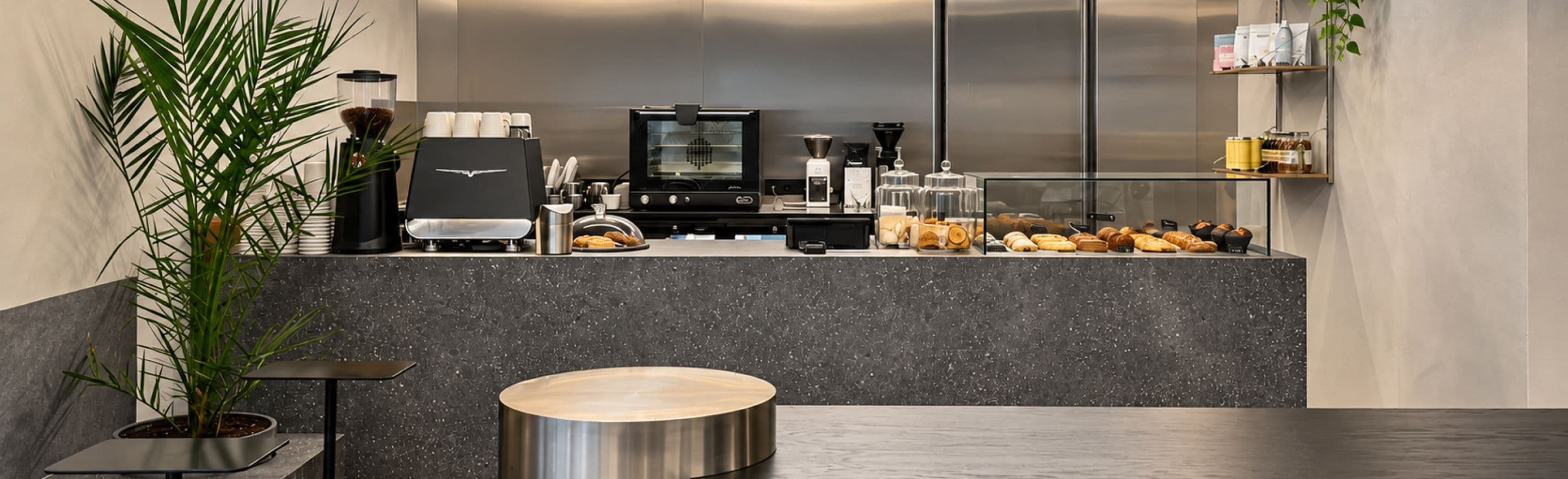 Барная стойка Grey Coffee: кофемашина, витрина с выпечкой и пальма у окна